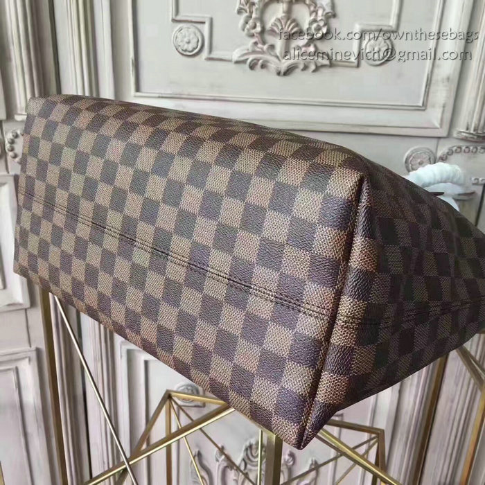 Louis Vuitton Damier Ebene Canvas Iena MM N44040