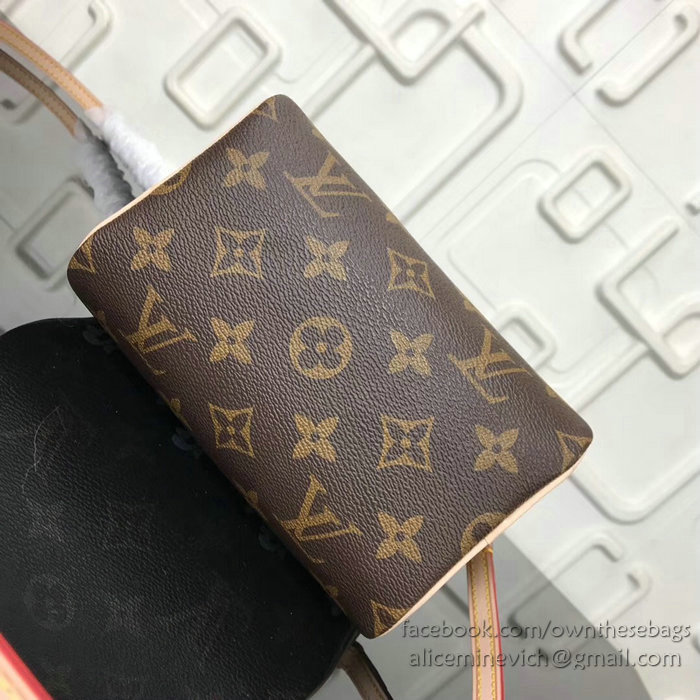 Louis Vuitton Dog Print Nano Speedy M61252