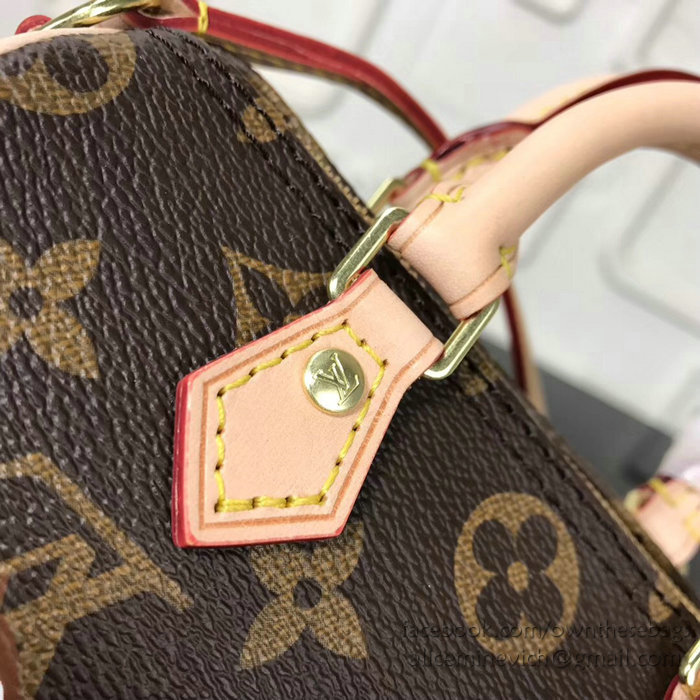 Louis Vuitton Dog Print Nano Speedy M61252