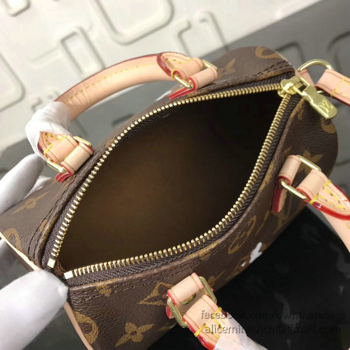 Louis Vuitton Dog Print Nano Speedy M61252