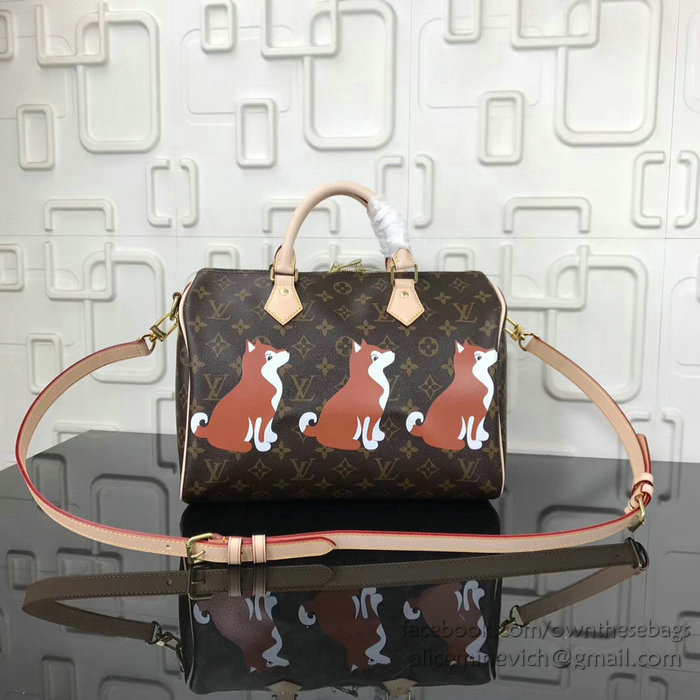 Louis Vuitton Dog Print Speedy Bandouliere 30 M41112