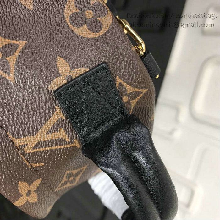 Louis Vuitton Dog Print Palm Springs Backpack Mini M41562