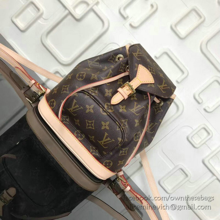 Louis Vuitton Monogram Canvas Montsouris PM M51135