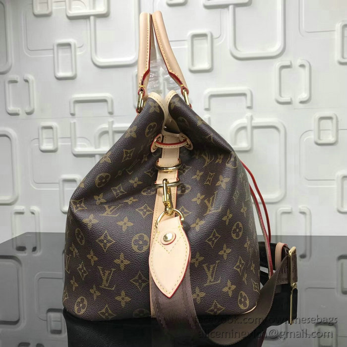 Louis Vuitton Monogram Canvas Neo Tote Bag M40372