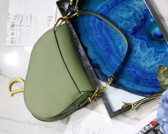 Dior Grained Calfskin Saddle Bag Green M9001