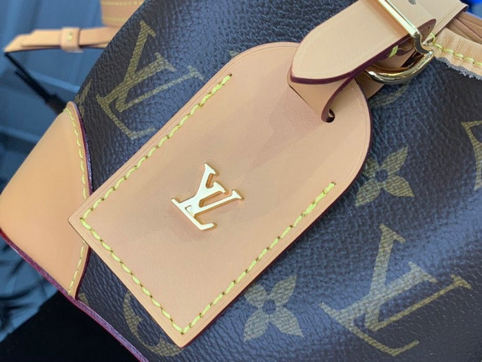 Louis Vuitton Noe Purse Brown M57099