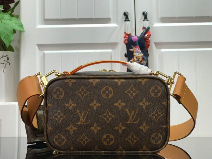 Louis vuitton handbag M45672