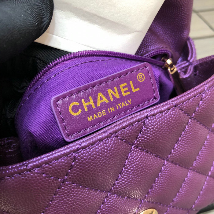 Chanel Mini Flap Bag with Top Handle Purple AS2215