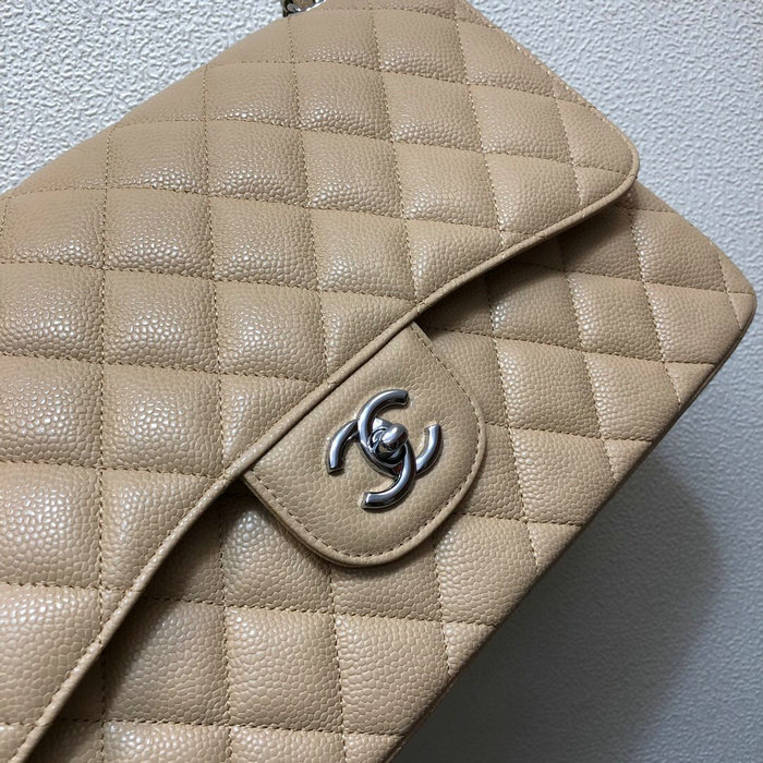 Large Classic Chanel Caviar Leather Handbag Beige Silver A01119