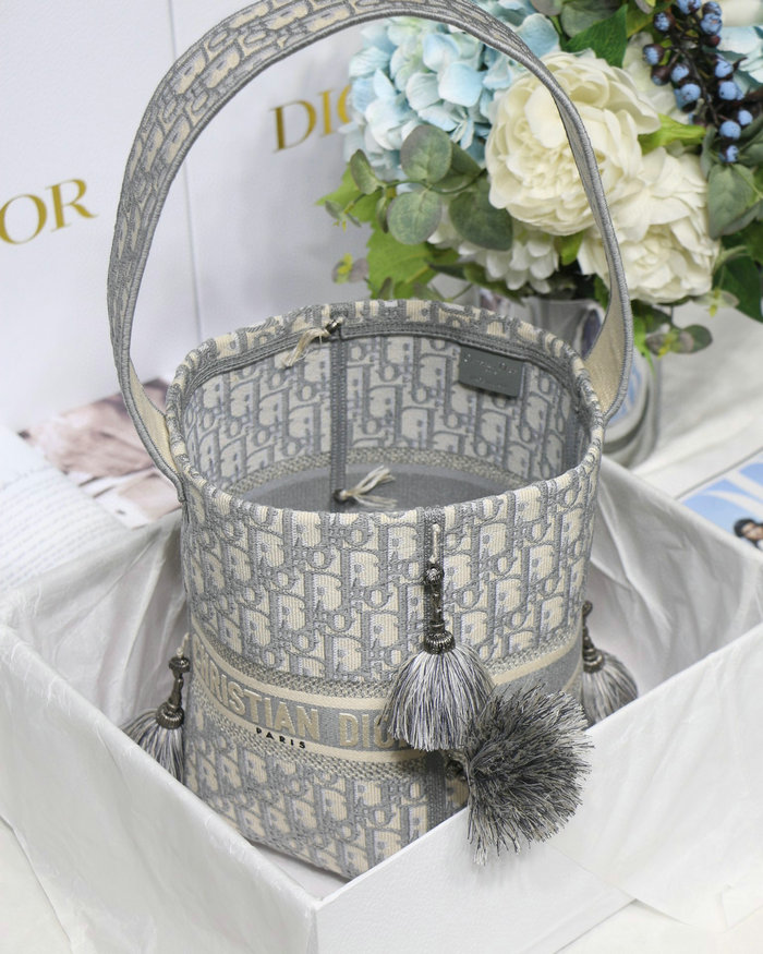 Dior D-bubble bucket bag Grey DM6006