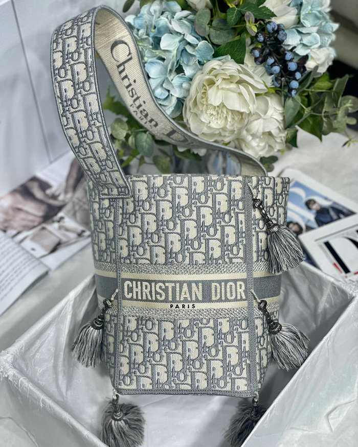 Dior D-bubble bucket bag Grey DM6006