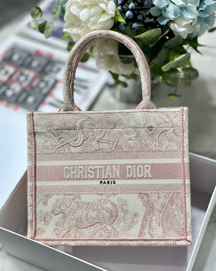 Small Dior Book Tote MS12865