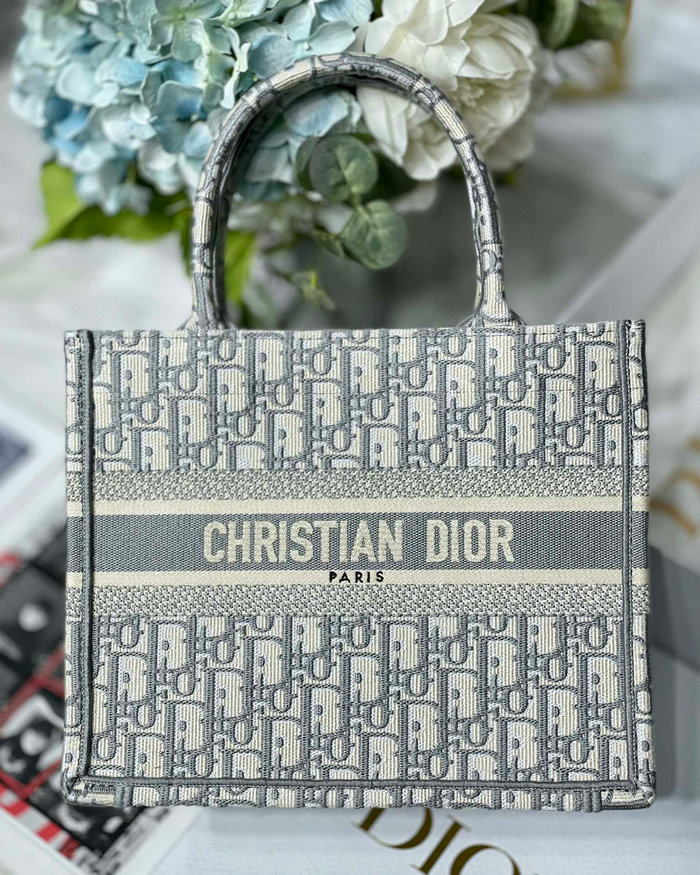 Small Dior Book Tote MS12868