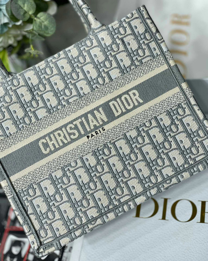 Small Dior Book Tote MS12868