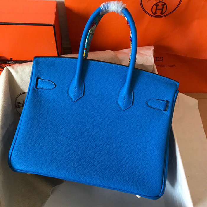 Hermes Togo Leather Birkin Bag HB303507