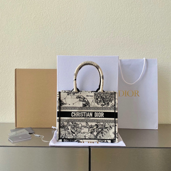 Small Dior Book Tote M1287D02