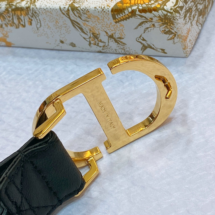 Dior Belt DB061402