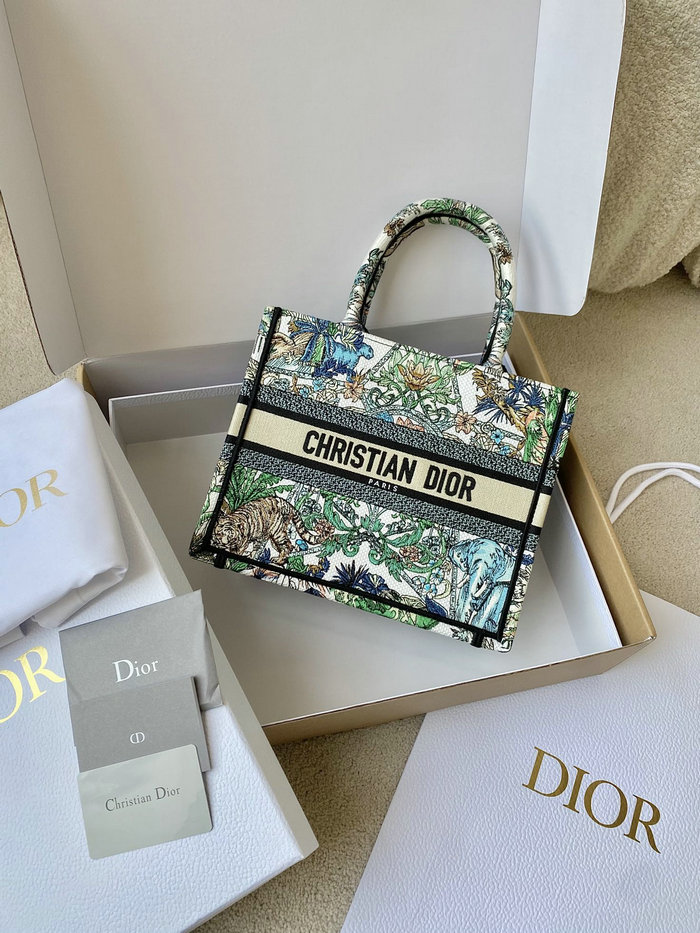 Small Dior Book Tote M1287D03