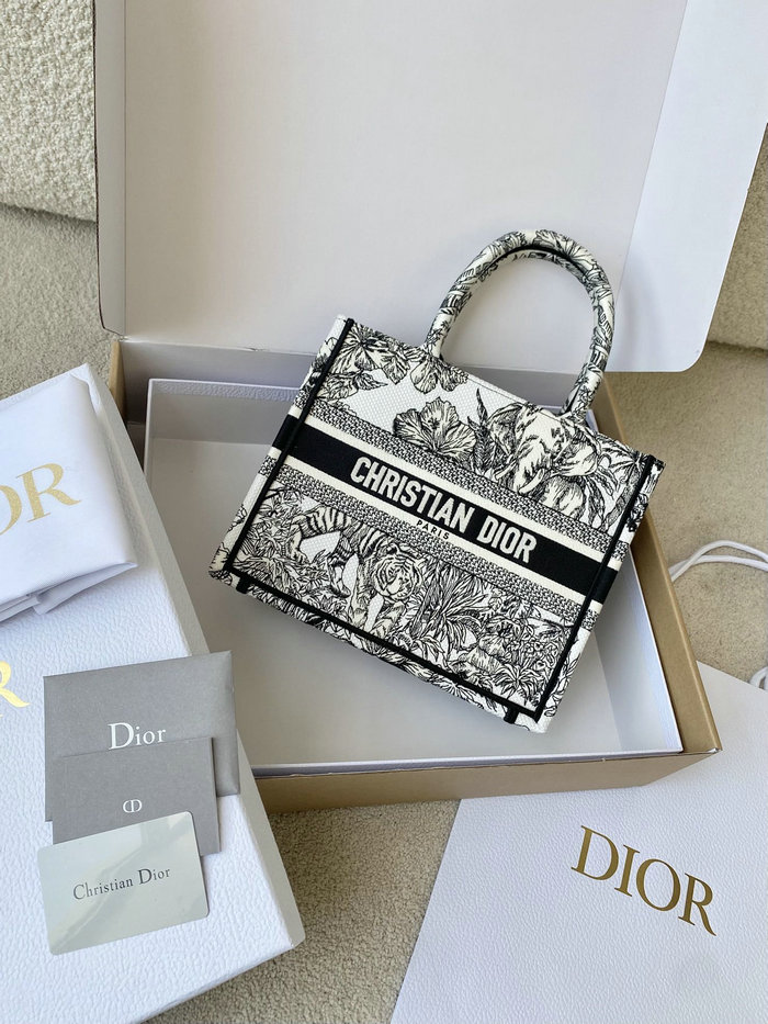 Small Dior Book Tote M1287D04