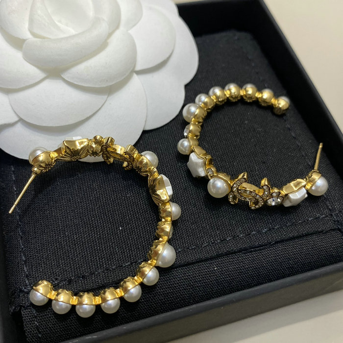 Chanel Earrings YFCE1213