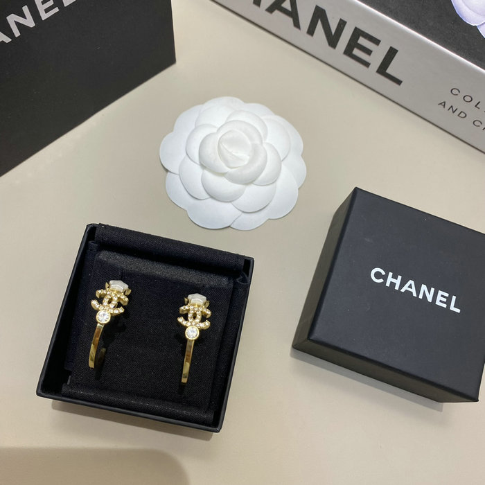 Chanel Earrings YFCE1214