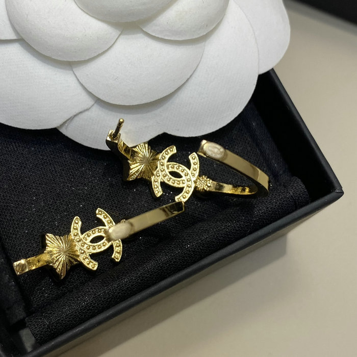 Chanel Earrings YFCE1214