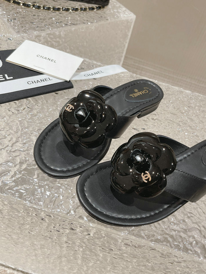 Chanel Sandals AQCS031808