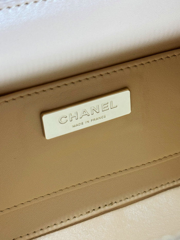 Chanel Camera Bag Beige AS4817