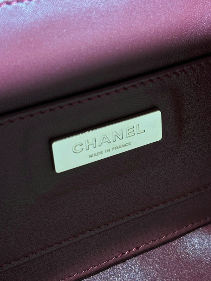 Chanel Camera Bag Red AS4817