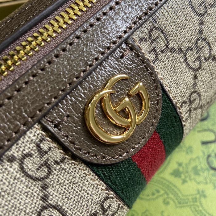 Gucci Ophidia Mini Shoulder Bag 795208