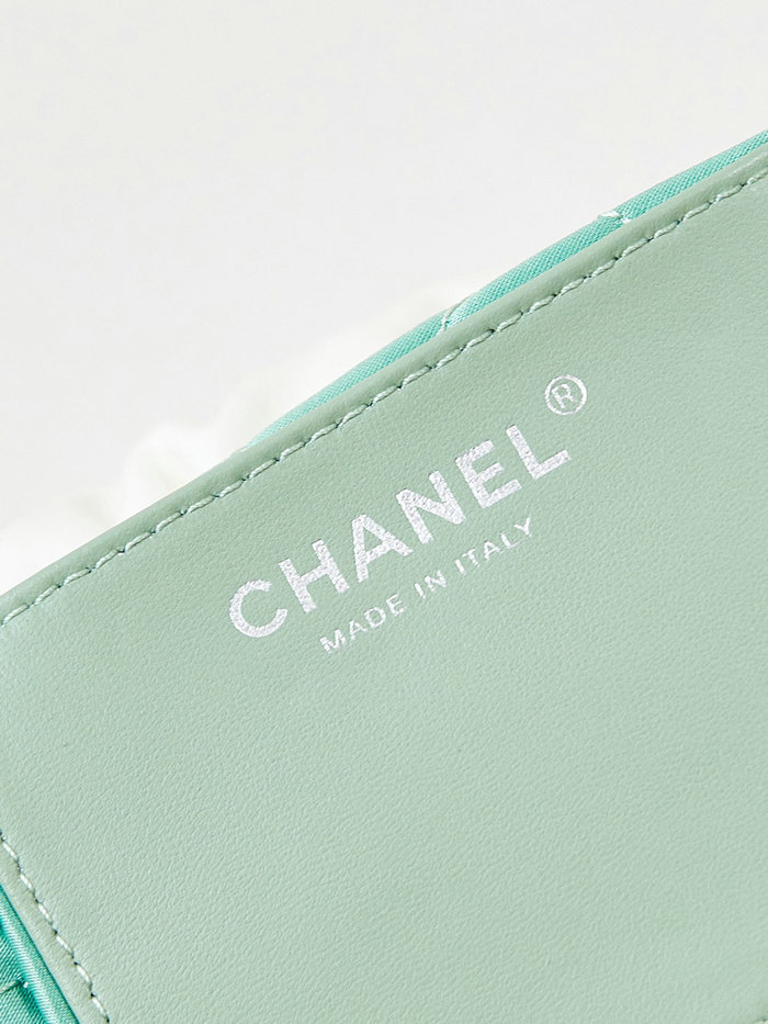 Chanel 22 Mini Handbag AS3980 Green and White