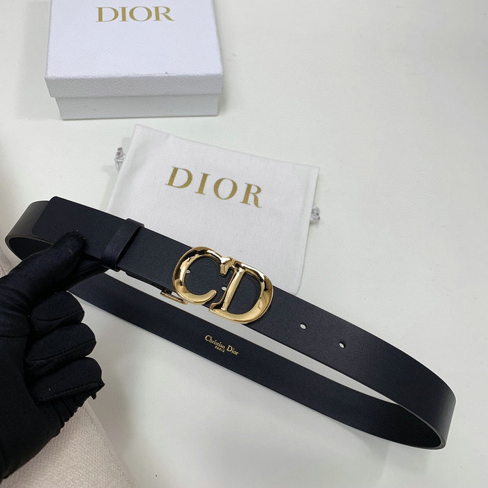 Dior Belt WBD52001