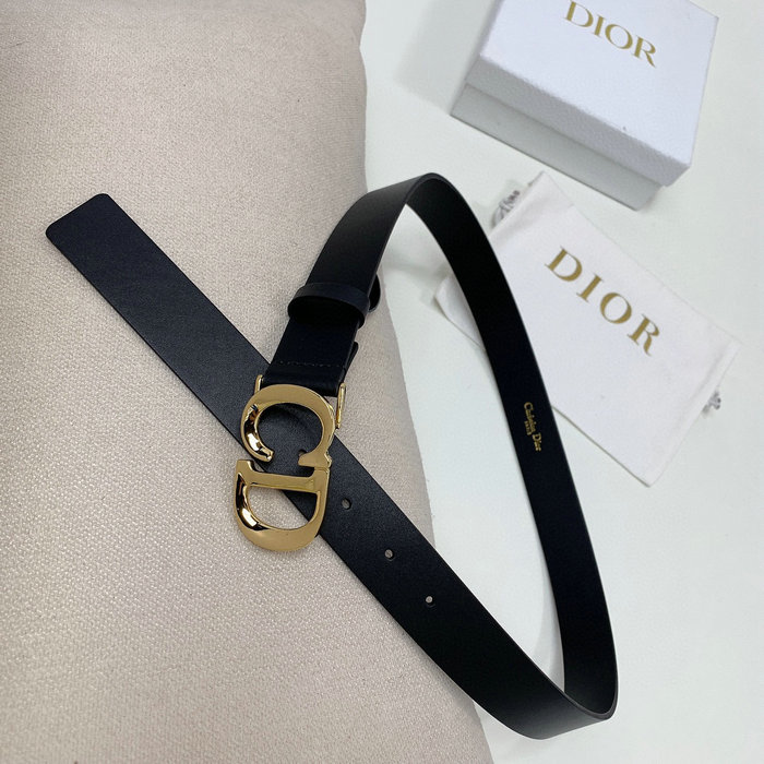 Dior Belt WBD52001