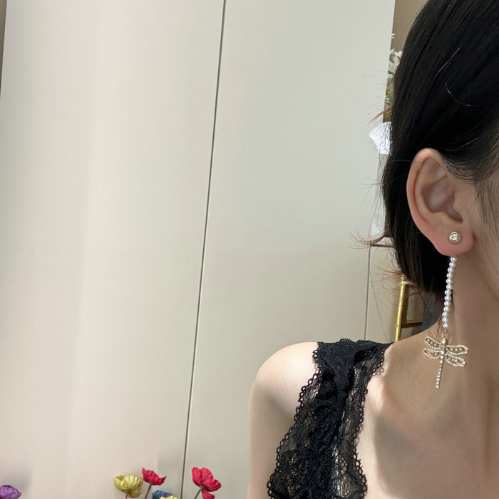 Dior Earrings DE60301