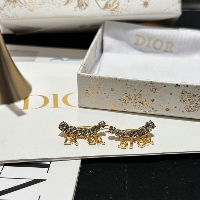 Dior Earrings DE60303