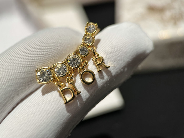 Dior Earrings DE60303