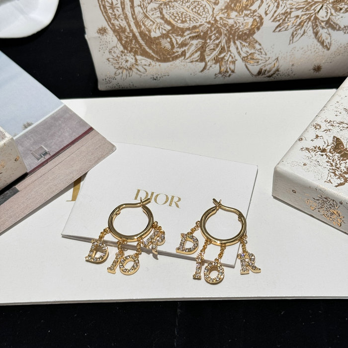 Dior Earrings DE60304