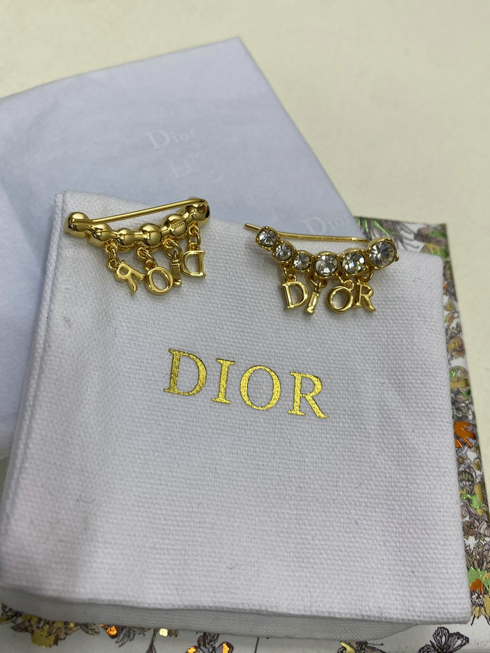 Dior Earrings DE60305