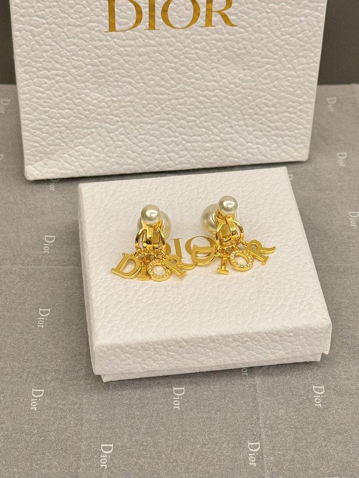 Dior Earrings DE60309