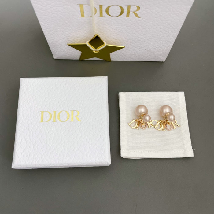 Dior Earrings DE60310