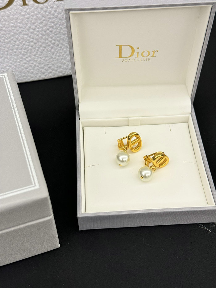 Dior Earrings DE60311