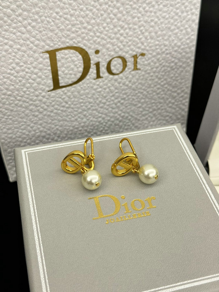 Dior Earrings DE60311