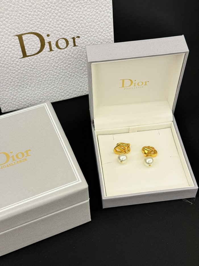 Dior Earrings DE60311