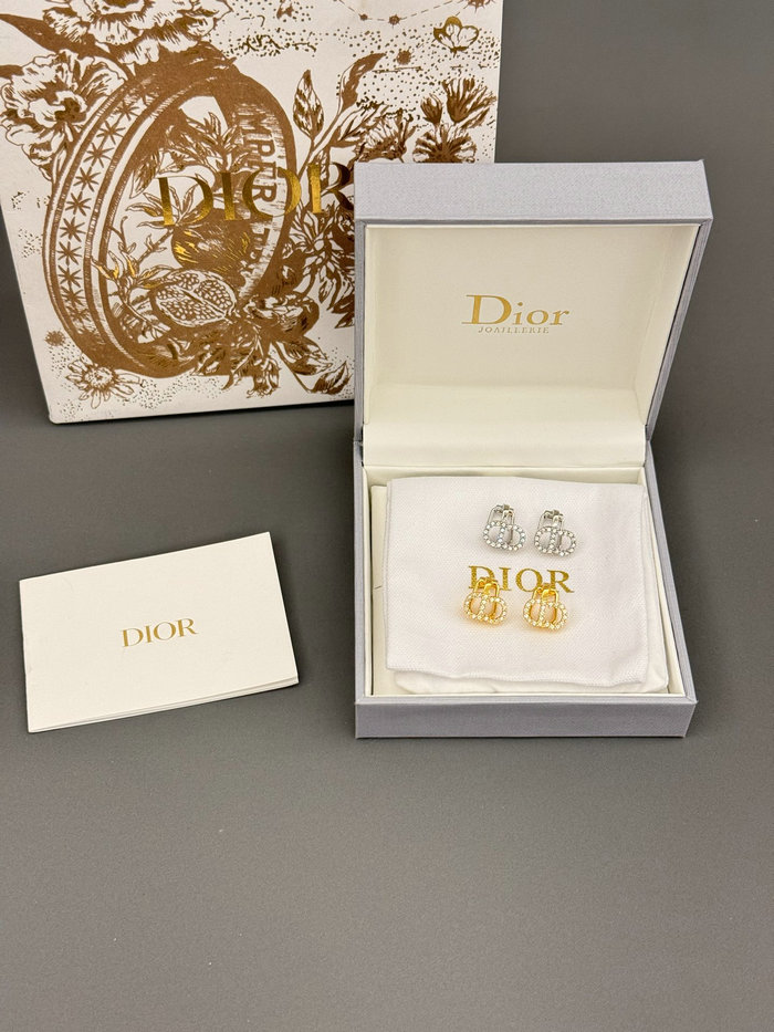 Dior Earrings DE60312