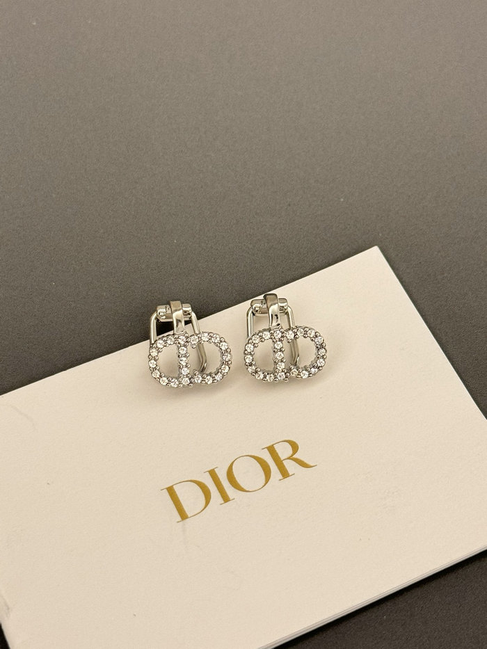 Dior Earrings DE60312