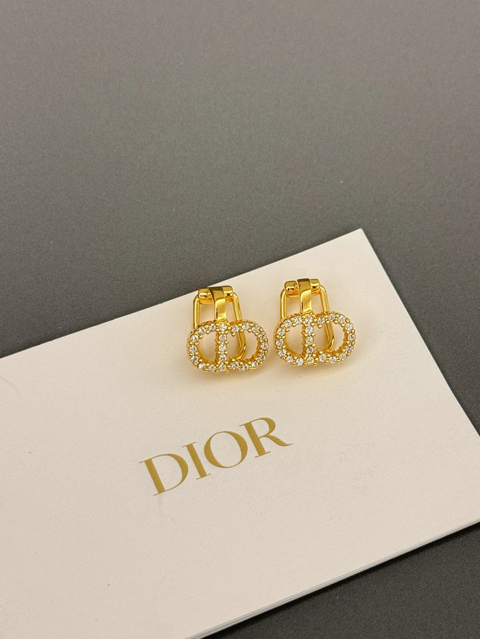 Dior Earrings DE60312