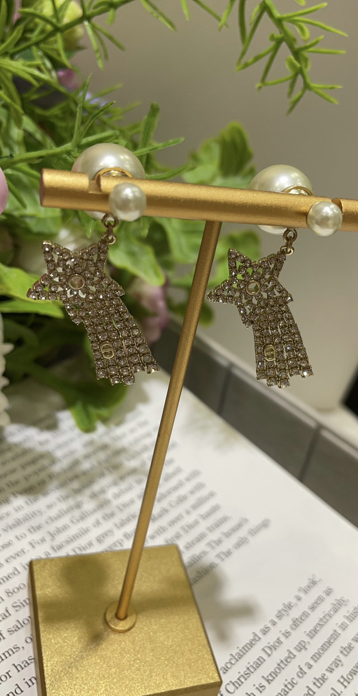 Dior Earrings DE60314