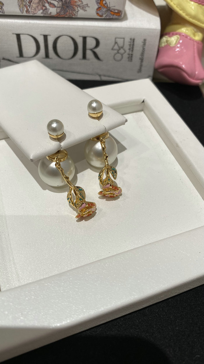 Dior Earrings DE60315