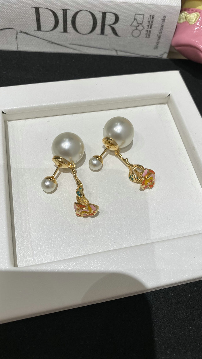 Dior Earrings DE60315