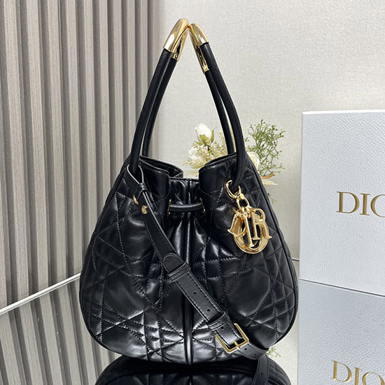 Medium Dior Lambskin Nolita Bag Black M2312